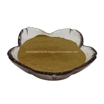 Puerariae Extract Powder Kudzu Root Extract